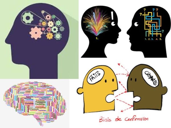 20 biais cognitifs qui influencent nos choix